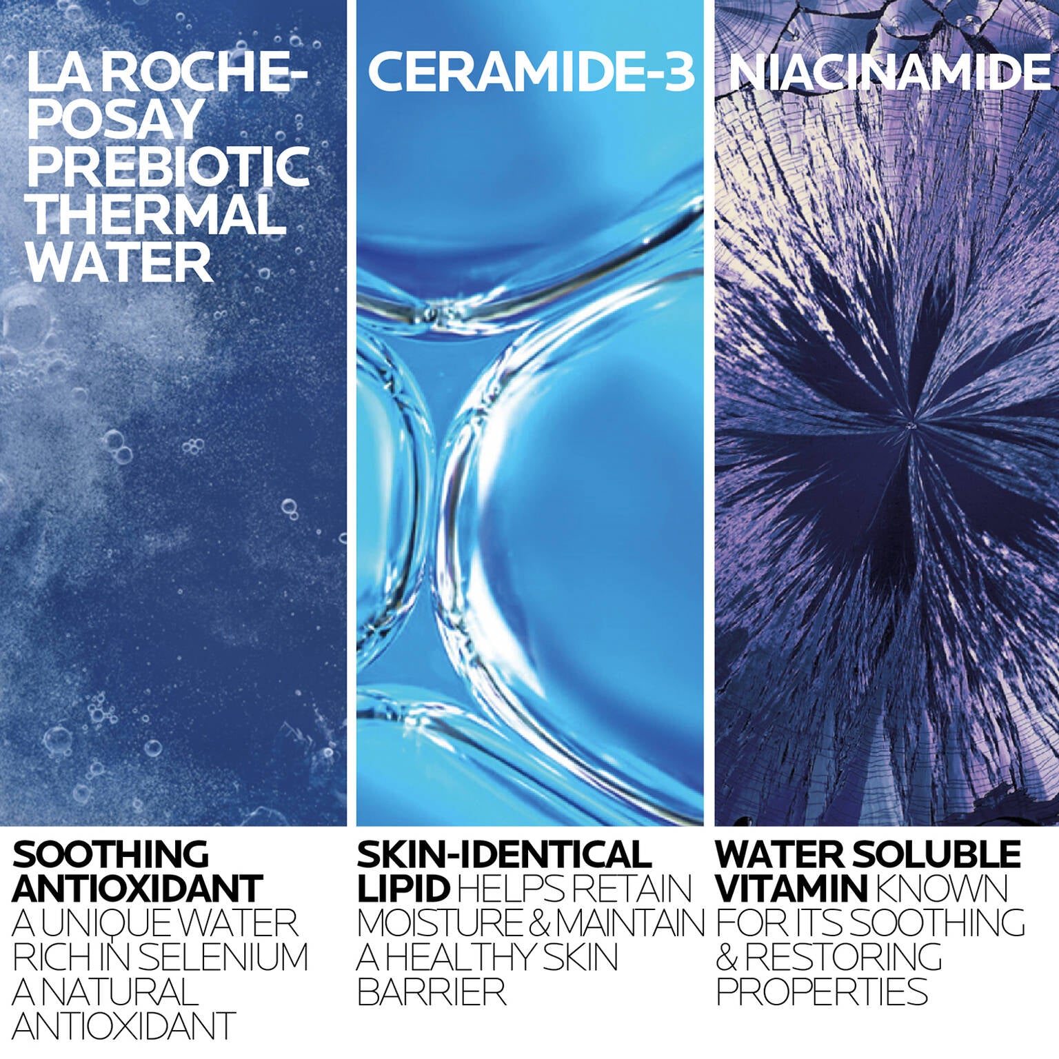 toleriane-purifying-foaming-cleanser-and-toleriane-double-repair-face-moisturizer-travel-set-m3 2-TolerianeCleanserUSRefill-400ml-ATF Ingredient Science-Rev.jpg