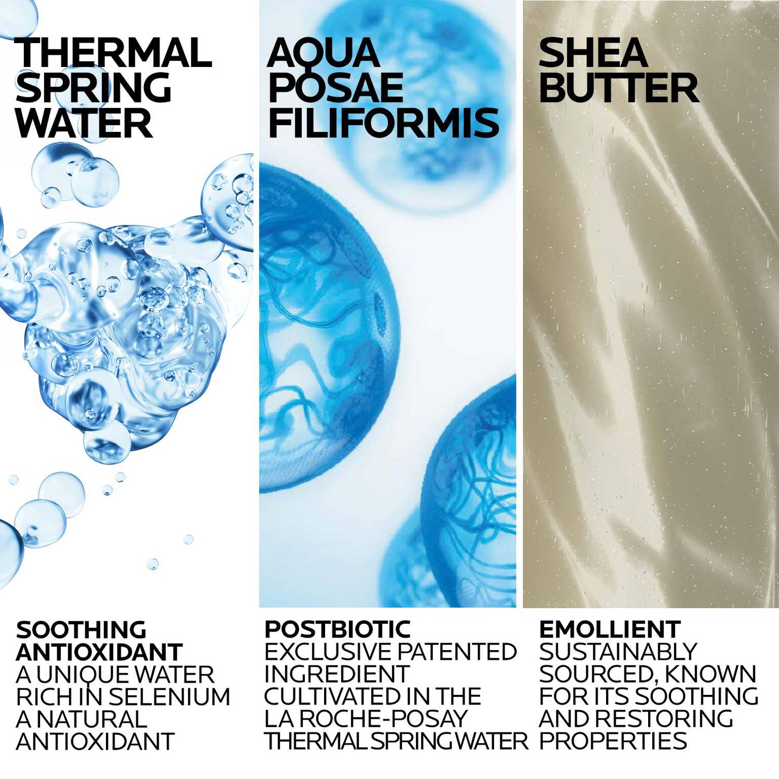 lipikar-wash-ap-moisturizing-body-and-face-wash-l8 Lipikar-Wash-ingredients_1500x1500-REV.jpg